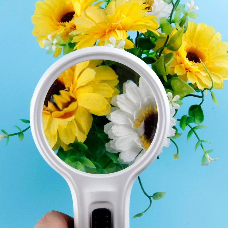 Multifunction handheld magnifier double magnification 2.5x/5x  with led lights